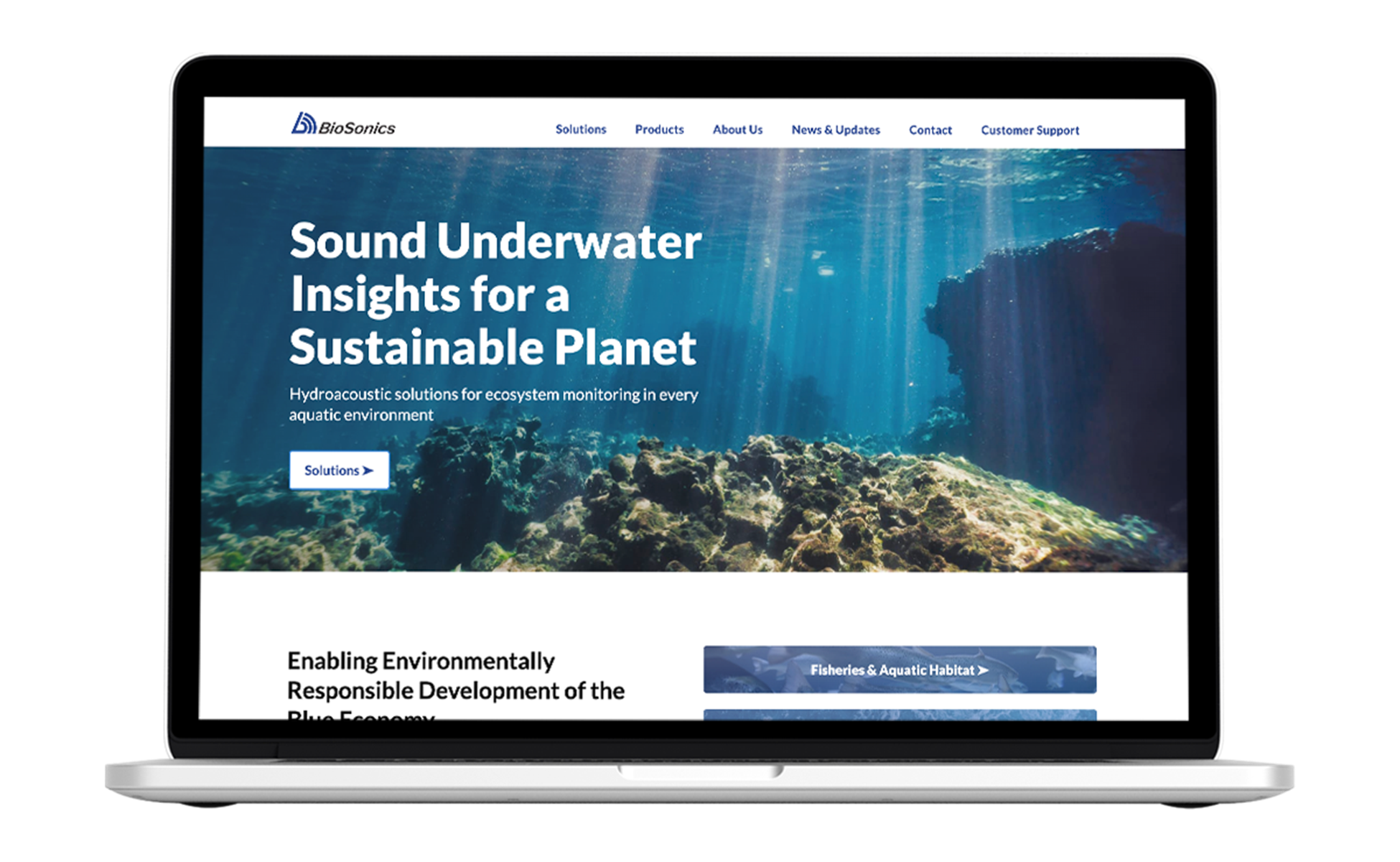 BioSonics: Expanding the reach of a well-established brand 1 BioSonics Expanding the reach of a well established brand